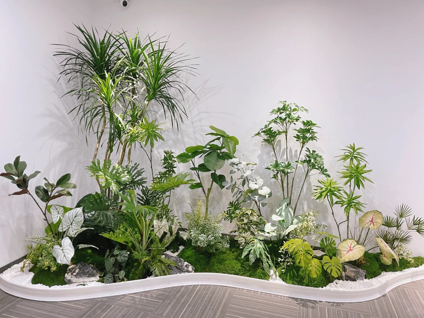 了解奉化植物出租方案,让绿植点亮生活!